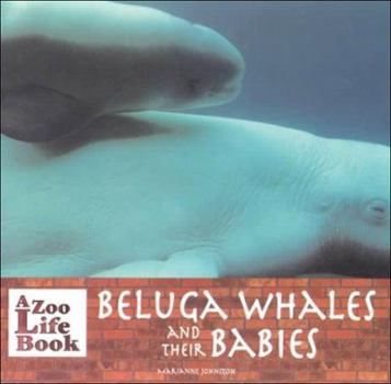 Hardcover Beluga Whales and Their Babies Book