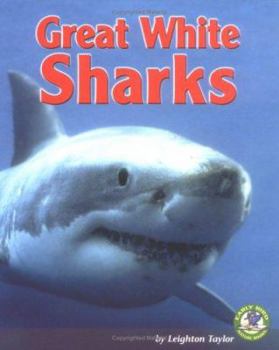 Library Binding Great White Sharks Book