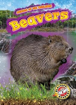 Beavers - Book  of the Scholastic: Blastoff!  Animals of the Wetlands