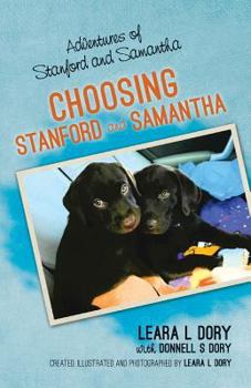 Paperback Adventures of Stanford and Samantha: Choosing Stanford and Samantha Book