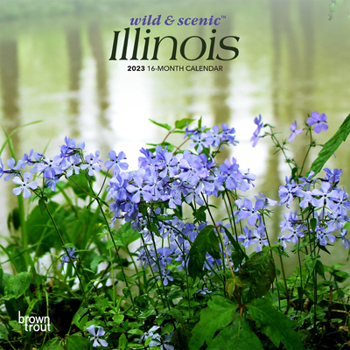 Calendar Illinois Wild & Scenic 2023 Mini 7x7 Book