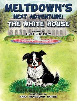 Paperback Meltdown's Next Adventure: The White House Book