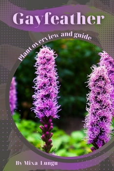 Gayfeather: Plant overview and guide