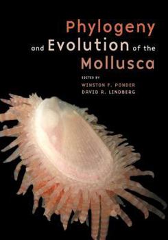 Hardcover Phylogeny and Evolution of the Mollusca Book