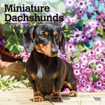 Calendar Dachshunds, Miniature 2021 Square Book
