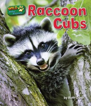 Raccoon Cubs (Wild Baby Animals - Book  of the Wild Baby Animals