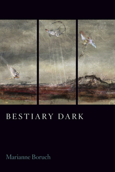 Paperback Bestiary Dark Book