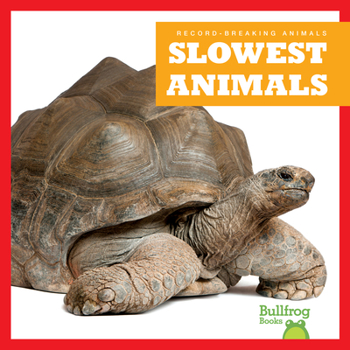 Paperback Slowest Animals Book