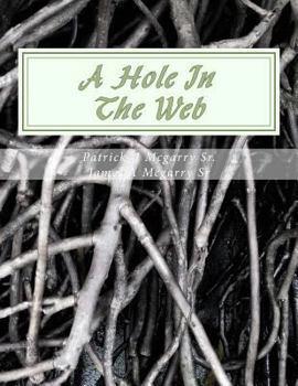 Paperback A Hole In The Web: From the mind of Visionary Book