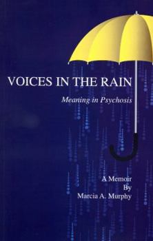 Paperback Voices in the Rain: Meaning in Psychosis Book
