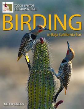 Paperback Birding in Baja California Sur Book