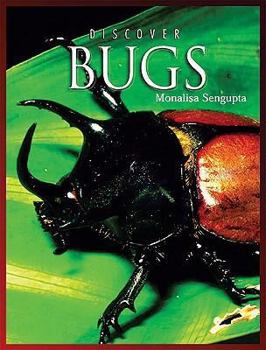 Discover Bugs (Discover Animals) - Book  of the Discover Animals