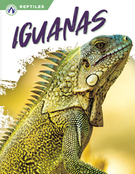 Library Binding Iguanas Book