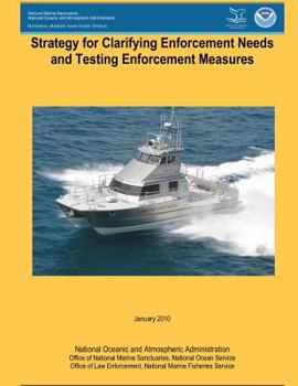 Paperback Strategy for Clarifying Enforcement Needs and Testing Enforcement Measures Book