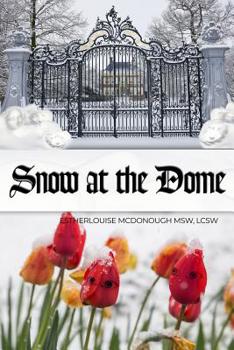 Paperback Snow at the Dome Book