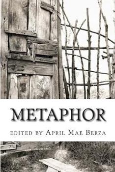 Paperback Metaphor: Modern and Contemporary Poetry Book