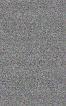 Paperback Wanton Book