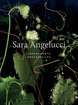 Hardcover Sara Angelucci: Undergrowth / Broussailles Book