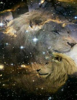 Paperback Space Lion Notebook: 8.5 X 11 202 College Ruled Pages Book