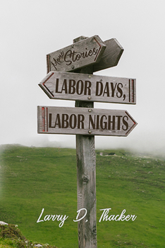 Paperback Labor Days, Labor Nights: More Stories Book