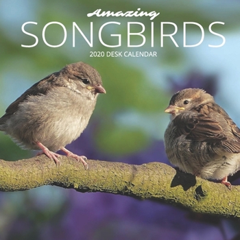 Paperback Amazing Songbirds 2020 Desk Calendar: Pretty Birds, 8.5 x 8.5, 12 Month Mini Calendar Planner January 2020 - December 2020, Great for Home, Work, or O Book