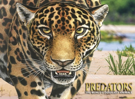 Hardcover Predators: The World's Deadliest Animals Book