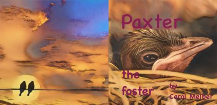 Paperback Paxter the foster Book