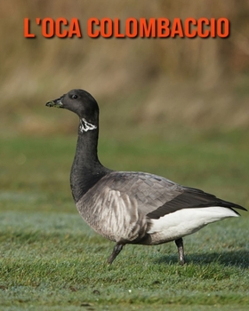 L'oca colombaccio: Immagini bellissime e fatti interessanti Libro per bambini sui L'oca colombaccio