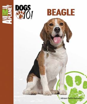 Beagle - Book  of the Animal Planet Dogs 101