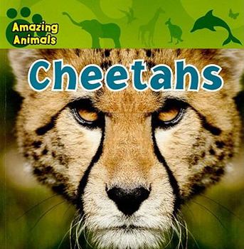 Cheetas (Reader's Digest Young Families) - Book  of the Amazing Animals