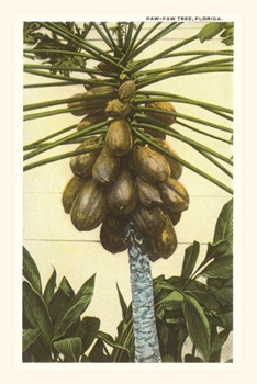 Paperback Vintage Journal Papaya Tree, Florida Book