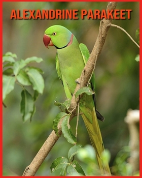Alexandrine Parakeet: Fun Facts and Amazing Photos of Animals in Nature