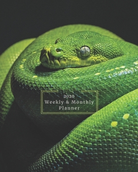 Paperback 2020 Weekly & Monthly View Planner: Green Snake 8"x10" (20.32cm X 25.4cm) 12-Month Notebook Calendar Schedule Organizer Book