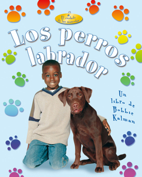 Labrador Retrievers (Pet Care)