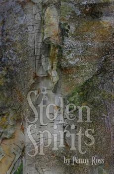 Paperback Stolen Spirits Book