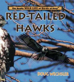 Library Binding Red-Tailed Hawks Book