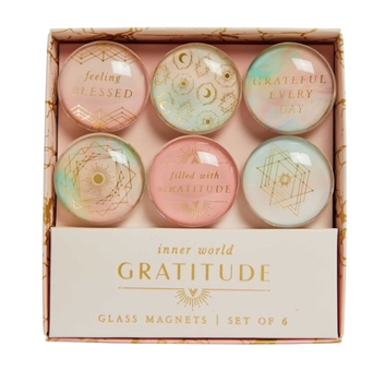 Paperback Gratitude: Glass Magnet Set (Set of 6) Book
