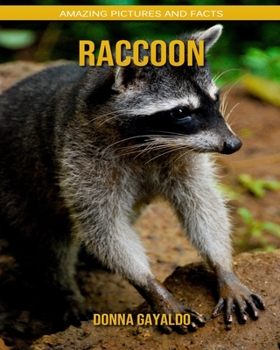 Paperback Raccoon: Amazing Pictures and Facts Book