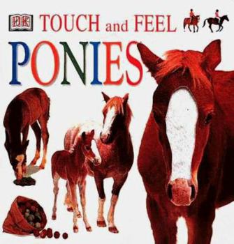 Board book Ponies Book