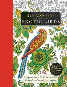 Paperback Exotic Birds: Gorgeous Coloring Books with More Than 120 Pull-Out Illustrations to Complete Book