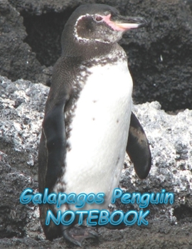 Galapagos Penguin NOTEBOOK: Notebooks and Journals 110 pages (8.5"x11")