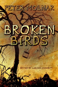 Paperback Broken Birds Book