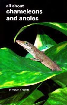 Hardcover All about Chameleons & Anoles Book