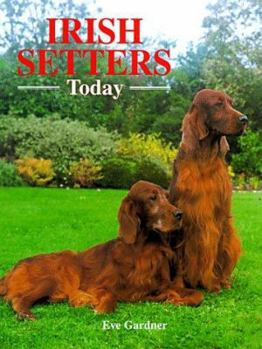 Hardcover Irish Setters Today Book