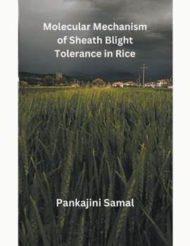 Paperback Molecular Mechanism of Sheath Blight Tolerance in Rice Book