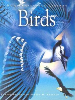 Birds (The Little Guides) - Book  of the Little Guides