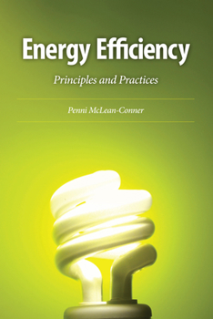Hardcover Energy Efficiency: Principles and Practices Book