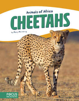 Paperback Cheetahs Book