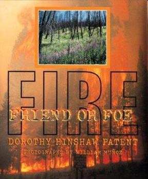Hardcover Fire: Friend or Foe Book