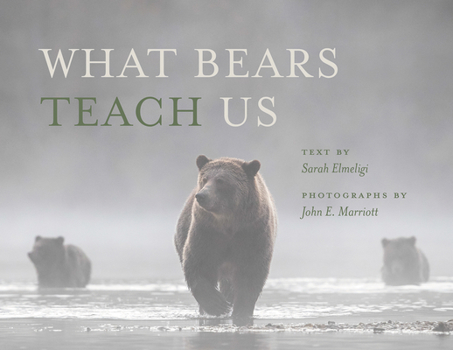 Hardcover What Bears Teach Us Book